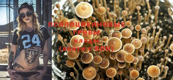 PSILOCYBIN Алексеевка