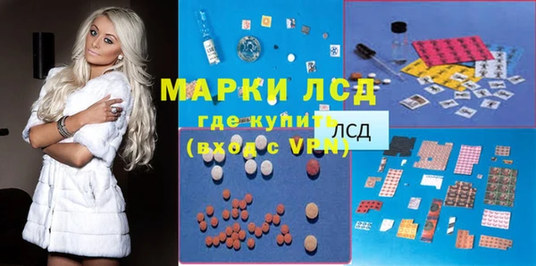 мяу мяу мука Алзамай