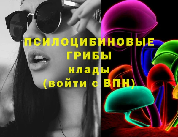 PSILOCYBIN Алексеевка