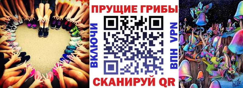 Псилоцибиновые грибы Psilocybe  купить наркоту  Ардатов 